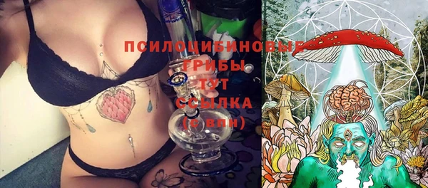 ешки Балахна