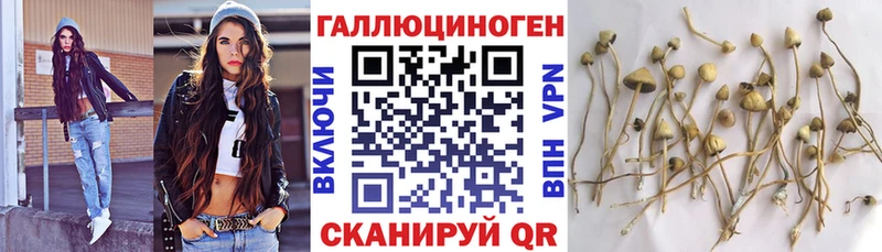 Псилоцибиновые грибы Psilocybe  это телеграм  Давлеканово 